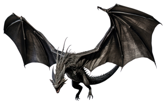PNG Black dragon animal wing white background