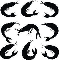 Amano Shrimp (Caridina multidentata) cute animal, cartoon style isolated on white background. Vector graphics. the Yamato, algae shrimp. And born in freshwater, Amano shrimp silhouette