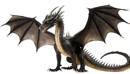  Fantasy dragon isolated on transparent or white background