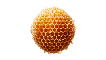 Honeycomb  isolated on transparent or white background.