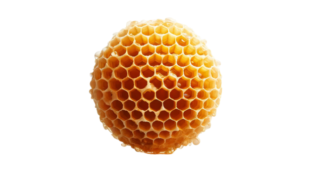 Honeycomb  isolated on transparent or white background.
