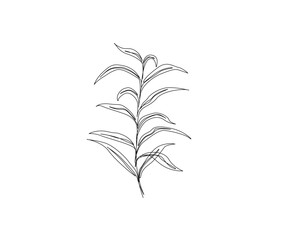 Botanical arts simple outline vector. Continuous one line drawing of abstract flower, floral, rose, tropical leaves, spring and autumn leaf. Editable stroke.