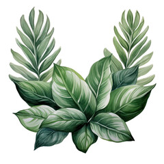 A lush arrangement of tropical leaves, featuring large, textured foliage and delicate fronds. Perfect for natural, botanical designs.