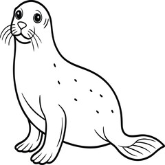 Seal animal coloring pages for kids book. Animal outline vector