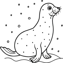 Seal animal coloring pages for kids book. Animal outline vector