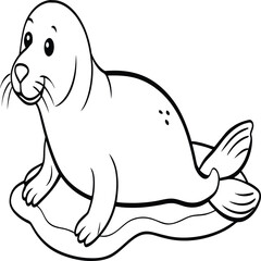 Seal animal coloring pages for kids book. Animal outline vector