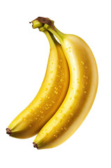 Pair of Fresh Yellow Bananas with Water Droplets on PNG Cutout