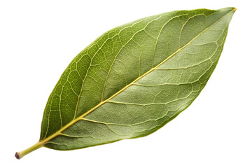 Obraz premium Bay leaf on a transparent background, bay leaf png.