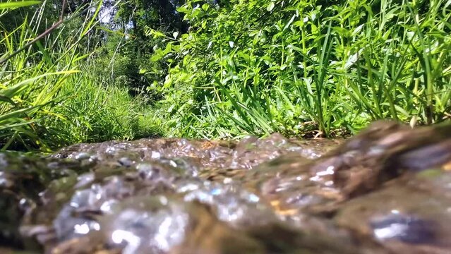 Klarer Quellbach mit Wasserpflanzen sprudelt durch gr&uuml;ne Wiese, Trinkwasser