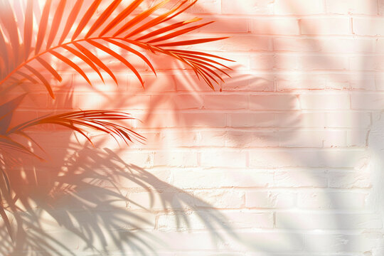 Abstract summer background with palm leafs and brick wall