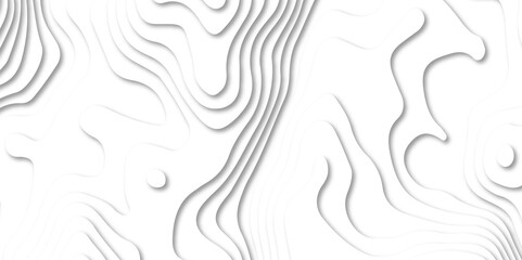 Abstract white paper cut background with line. 3d topography relief. Vector topographic illustration. realistic papercut decoration textured with wavy layer and shadow. seamless pattern wave design.