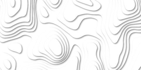 Fototapeta premium Abstract white paper cut background with line. 3d topography relief. Vector topographic illustration. realistic papercut decoration textured with wavy layer and shadow. seamless pattern wave design.