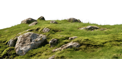PNG Landscape grassland outdoors pasture.