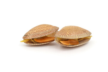 Closed up fresh baby clams, venus shell, shellfish, carpet clams, short necked clams, as raw food from the sea are the seafood ingredients. fresh clams Background.