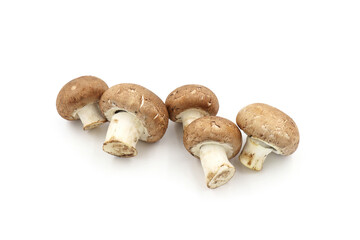 Fresh  champignon mushrooms isolated on a white background.  full depth of field.