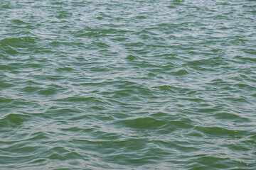 Obraz premium ocean water waves ripples. green water surface of the sea. background.