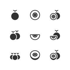 Melon Icon Set. Vector Illustration.