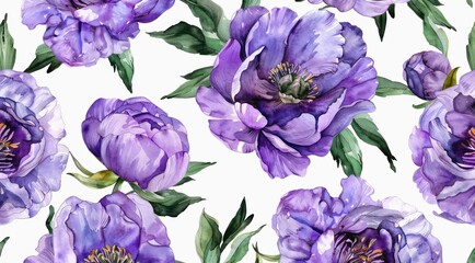 Violet peonies on white background, watercolor pattern design.