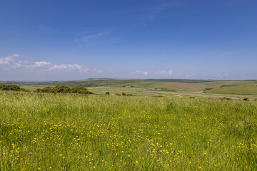 A rural Sussex view on a sunny summer's day