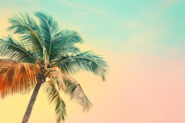 Minimalist green palm tree against colorful sky white background close up surreal composite summer theme