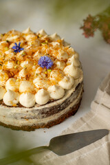 Vegan raw carrot cake on a white table. Healthy food. 