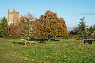 The 14th century parish church of St Mary the Virgin at Frampton on Severn in Gloucestershire UK on...