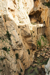 Obraz premium Caminito Del Rey (Royal Trail or The King's Little Path)) is a mountain path along steep cliffs in Gorge Chorro, Andalusia, Spain. Walkway pinned along the steep walls of a narrow gorge.