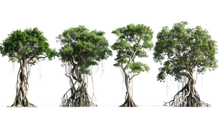 set of banyan tree with isolated transparent background