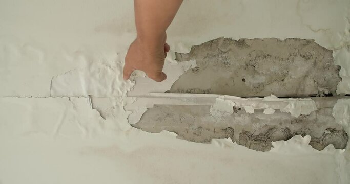 Male finger is peeling paint on ceiling, Office building or house problem for house service. High definition shot at 4K, 60 fps video footage.