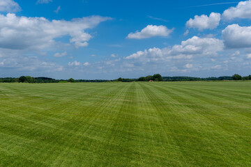 Fototapeta premium green field and blue sky