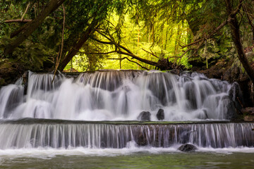 waterfall in the forest