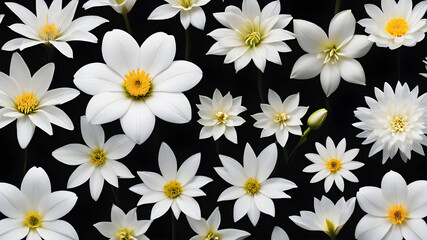 Different varieties of white flowers on a black background. Generative AI