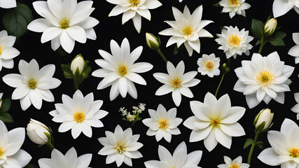 Different varieties of white flowers on a black background. Generative AI