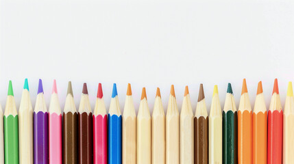 A row of pencils with different colors and sizes