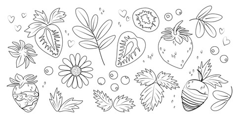 Large set of different strawberries and blueberries with leaves. One line vector drawing. Isolated elements flat style on white background. Nature design kit