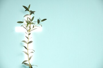 Shining cross and eucalyptus branch on turquoise background, space for text. Religion of...