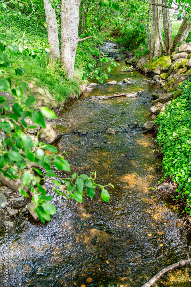 Canvas Prints small park stream 2