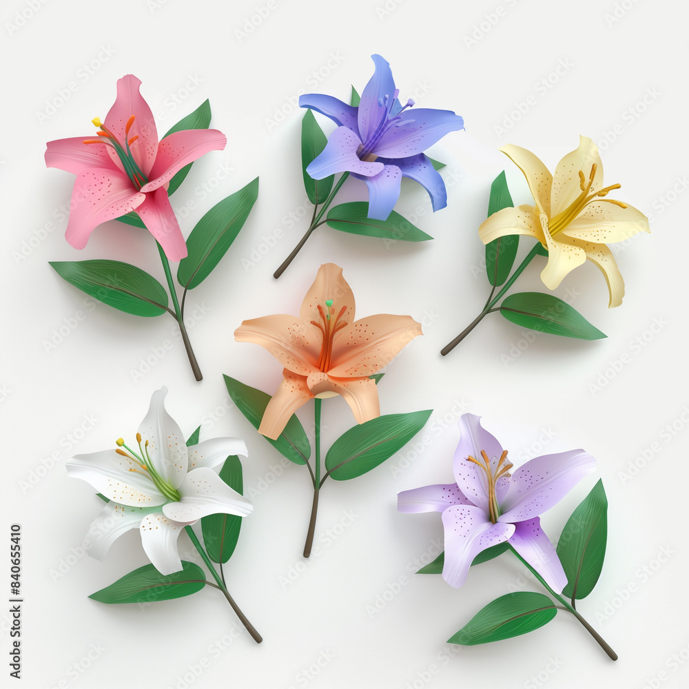 Poster cute paper lily flowers in 5 different colors on a white background in the style of a illustration. 