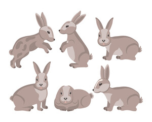 Set of cute rabbits in different poses. Animal illustration, vector