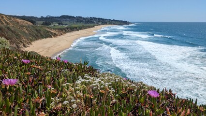 Scenic View of Half Moon Bay, California