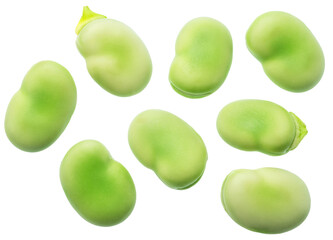 Set of green young broad beans isolated on white background. File contains clipping paths.