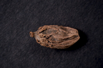 A single picture of black cardamom, isolated on a black background.