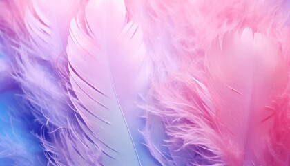 pink purple white feathers background