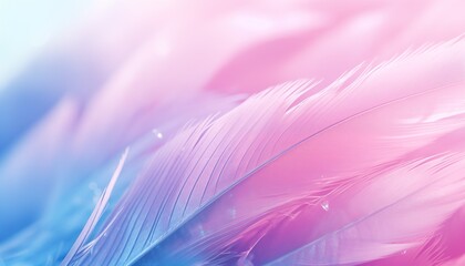 pink purple white feathers background