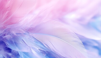 pink purple white feathers background