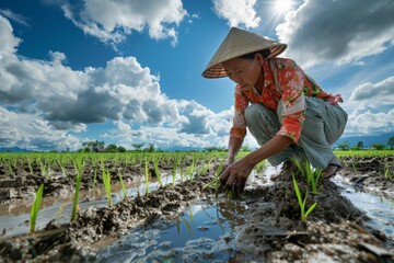 An agricultural illustration of an Asian woman farmer wearing a straw hat is planting rice in the warming sunlight in a countryside field with green grasses.