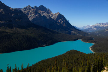 View of the incredible Peyto Lake.