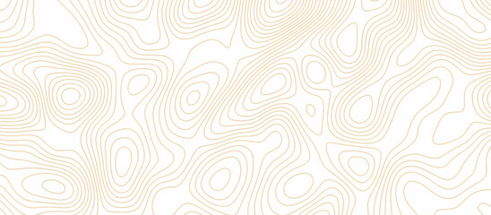 Abstract wave paper curved reliefs background .gradient multicolor wave curve lines banner background design .topographic contours map background .Vector geographic contour map.