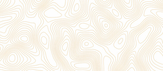 Abstract wave paper curved reliefs background .gradient multicolor wave curve lines banner background design .topographic contours map background .Vector geographic contour map.