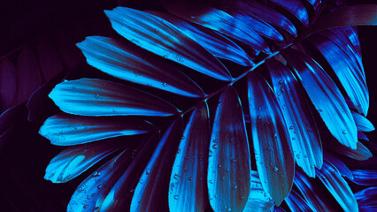 tropical leaf background, glow in the dark color toned
